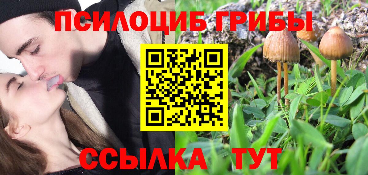 Галлюциногенные грибы Magic Shrooms Прохладный